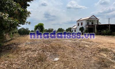 Cho Thuê Đất Mặt Tiền Quốc Lộ 20, xã La Ngà.