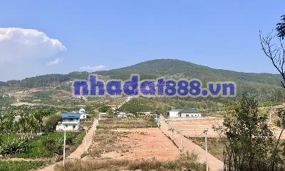 ĐẤT 2 MẶT TIỀN ĐƯỜNG BÊ TÔNG – 309M² – KHÔNG GIAN THUNG LŨNG THÔNG XANH