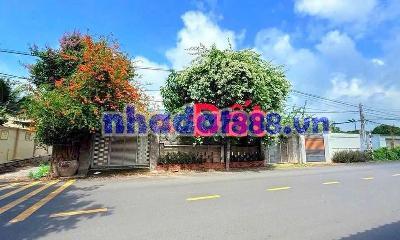 Ngộp bán lỗ đất mặt tiền đường Nguyễn Tất Thành ngang 8m chỉ 1ty150, thị trấn Phước Hải