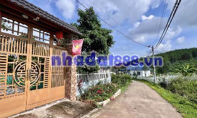 QUỸ ĐẤT HIẾM GIỮA THÔNG XANH KHU BIỆT THỰ GIA LÂM – 501M² CHỈ 1,5 TỶ