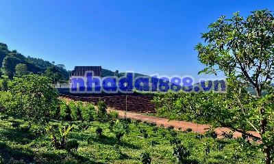 GIỮA ĐỒI XANH NAM BAN – QUỸ ĐẤT 5.900M² MẶT TIỀN 59M DÀNH CHO NHỮNG DỰ ĐỊNH DÀI HẠN