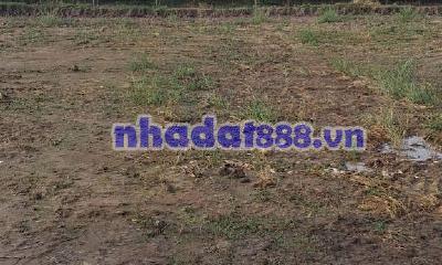 BÁN LÔ ĐẤT SÀO GẦN CHỢ AN THÁI