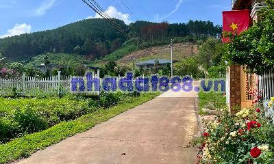 Cần Bán Đất Khu Nghỉ Dưỡng Gia Lâm 501m², Địa Thế Đẹp, Thông Xanh Bao Quanh