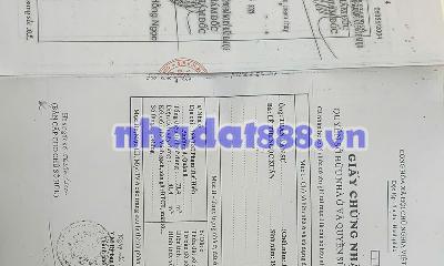 Nhà hẻm 769 Phạm thế Hiển