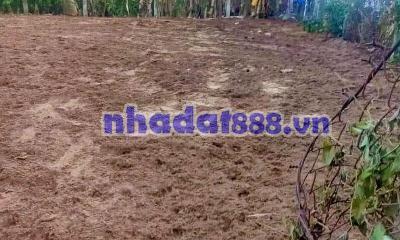 Đất Bình Thành , Giồng Trôm