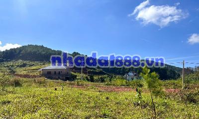 Cần Bán Đất 309m², 209m² Đất Ở, 2 Mặt Tiền, Giữa Đồi Thông