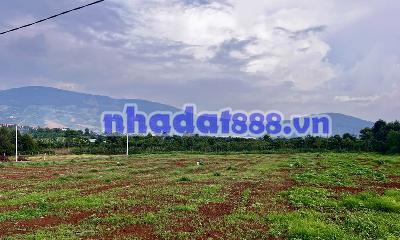 Cần Bán Đất Đông Thanh 350m², Mặt Đường Nhựa 8m, View Nam Ban, Đất Bằng Phẳng